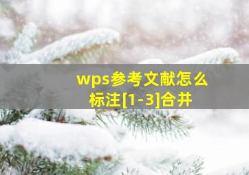 wps参考文献怎么标注[1-3]合并